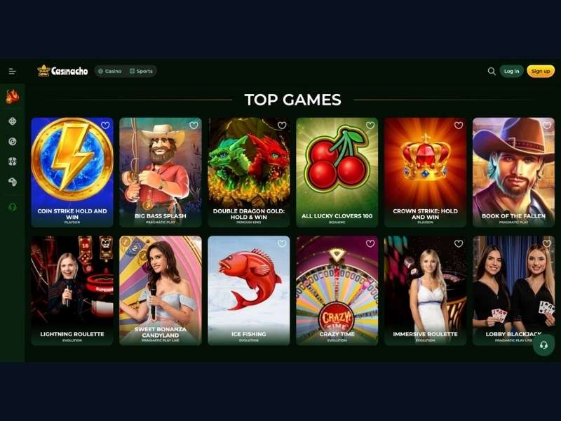 Pausa di gioco versus autoesclusione su Casinacho Casino Nacho Casino — quando usare quale